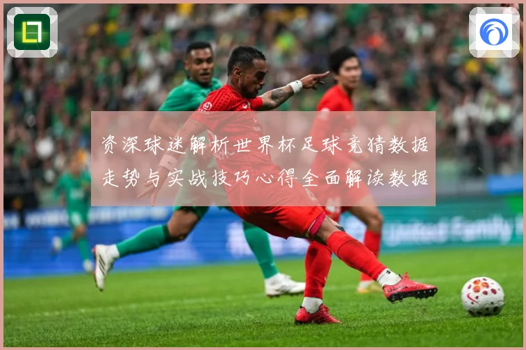 资深球迷解析世界杯足球竞猜数据走势与实战技巧心得全面解读数据研判-深度解析