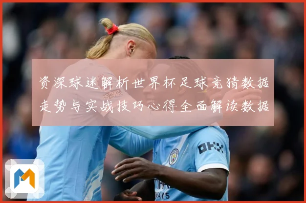 资深球迷解析世界杯足球竞猜数据走势与实战技巧心得全面解读数据研判-深度解析