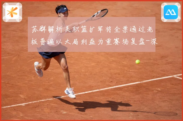 苏群解析美职篮扩军将全票通过老板普遍以大局利益为重赛场复盘-深度解析