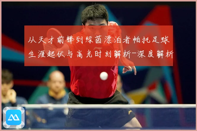 从天才前锋到绿茵漂泊者帕托足球生涯起伏与高光时刻解析-深度解析
