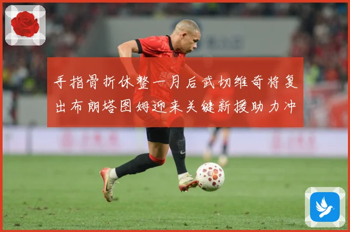 手指骨折休整一月后武切维奇将复出布朗塔图姆迎来关键新援助力冲成长观察-深度解析