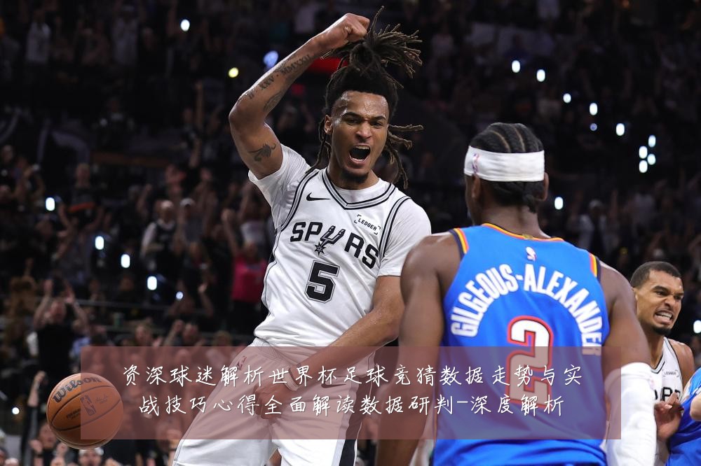 资深球迷解析世界杯足球竞猜数据走势与实战技巧心得全面解读数据研判-深度解析